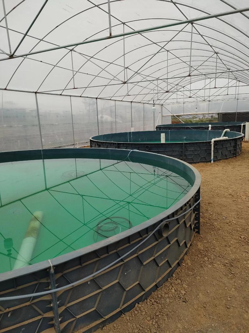 抖音图文来了 #惠州贝思养殖设备厂 #高位池养殖 #水产养 - 抖音