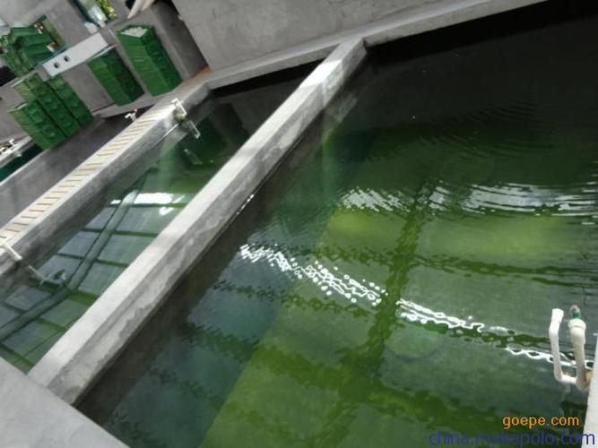 渔业养殖厂鱼池隐性漏水止水环保型鱼池防腐防水漆生产厂家