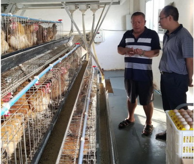 毕节市畜牧水产局赴纳雍县开展生态家禽产业调研