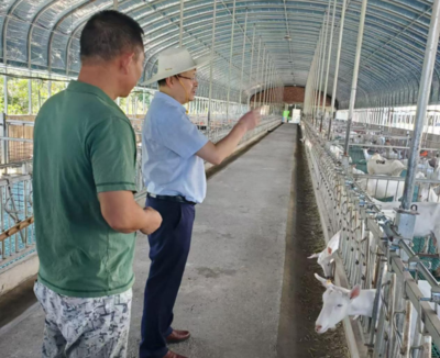 省畜牧水产事务中心到城步县调研指导乡村振兴工作