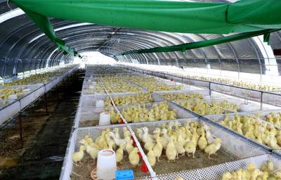 哈铁:“扶贫列车”助力小康