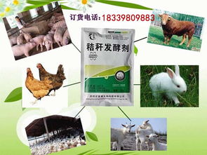 其他饲料添加剂价格 如何发酵玉米秸秆做牛饲料喂牛 花费的成本高吗批发价格 郑州市