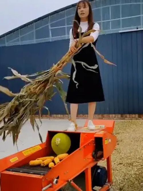 养殖小妙招 水产养殖 家禽养殖 畜牧业 科学喂养