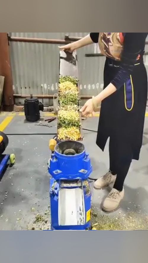 家禽养殖 畜牧业 水产养殖 养殖小妙招 畜牧养殖