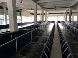 广州工厂化水产养殖价格 批发 供应 谷瀑环保