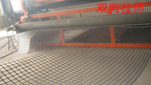 2021欢迎邢台家禽养殖双向塑料网性价比高厂家供应