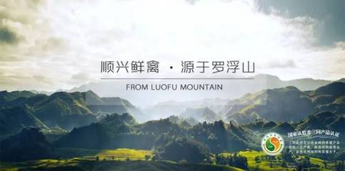 唐顺兴:一只“供港鸡”的国际化之旅|广东农产品出口典型案例
