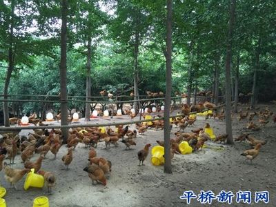 洋河镇企业带贫促增收