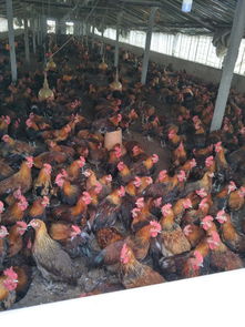 哪里有资讯 八方资源网行业资讯