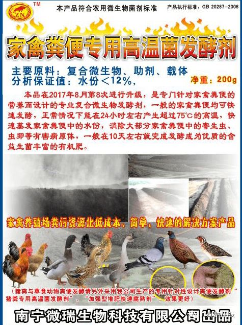 这个鸭场采用益生菌养殖青头鸭 专业菌种发酵鸭粪制作有机肥形成生态养殖效益高