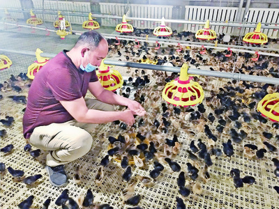 阿瓦提县:养殖家禽助农增收