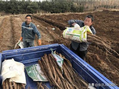 农村大叔的致富之路