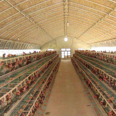 养殖大棚制造厂家 商丘养殖大棚 聚丰温室大棚厂家