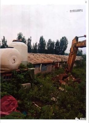 案例分析:噪声污染能导致家禽死亡,获得赔偿