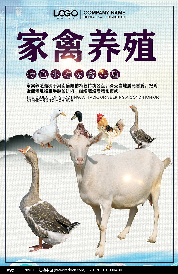 家禽生态养殖海报