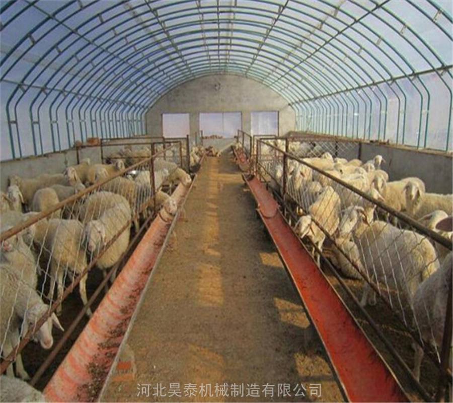 搭建家禽养殖大棚 薄膜温室养猪大棚 保温大棚