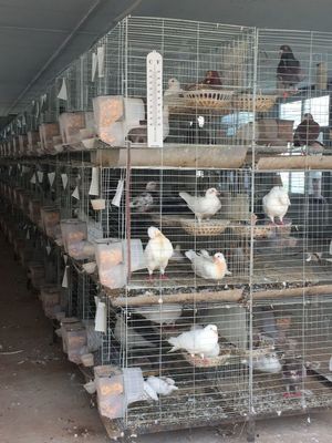 吃货进!这是一篇让你流口水的微信!