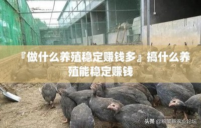 『做什么养殖稳定赚钱多』搞什么养殖能稳定赚钱