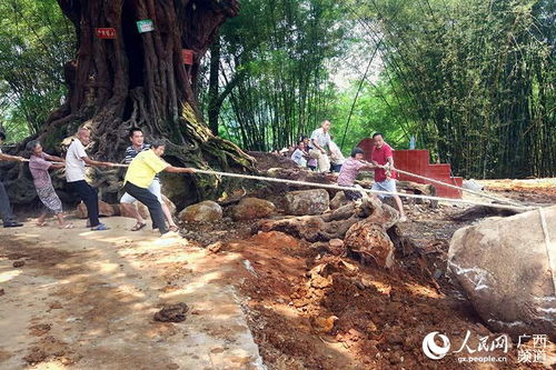 长洲区脱贫攻坚 乡村振兴 工作队工作综述