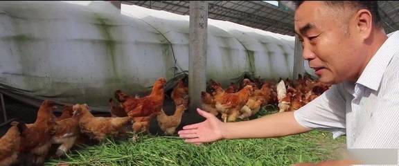 泰州:打造“不走的扶贫工作队”激活脱贫攻坚的“一池春水”