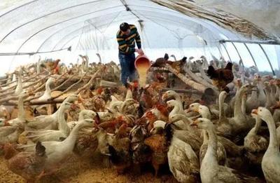 涨价潮即将到来!尤其这3类可能要大涨,事关我们的生活,早准备