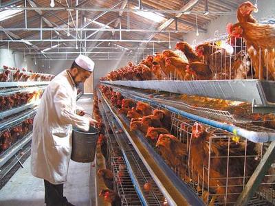 在农村能干什么?来看看未来农村的发展趋势