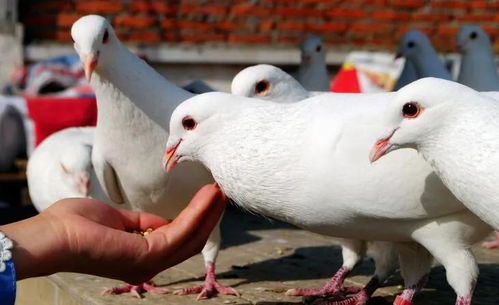 民生无小事 枝叶总关情 品味泰安市政府工作报告数字背后的民生故事