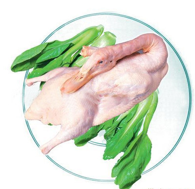供应满庭芳家禽养殖白条鸭养殖联系电话13012332052-重庆满庭芳家禽养殖股份合作社
