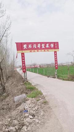 家禽养殖养鹅常见问题