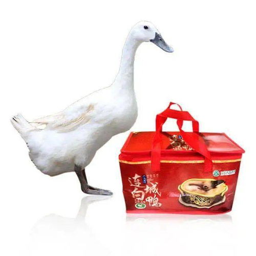 明日厦门这里要火了 海峡导购开启大型特卖会,全场1元起,就等你来