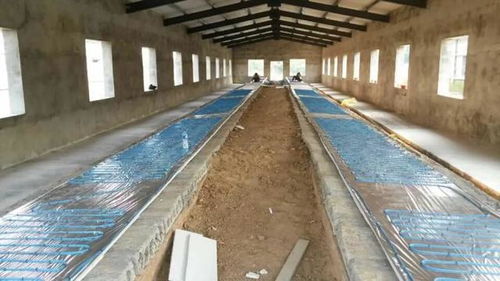 当家禽用上了地暖 蔬菜种植配上了中央空调