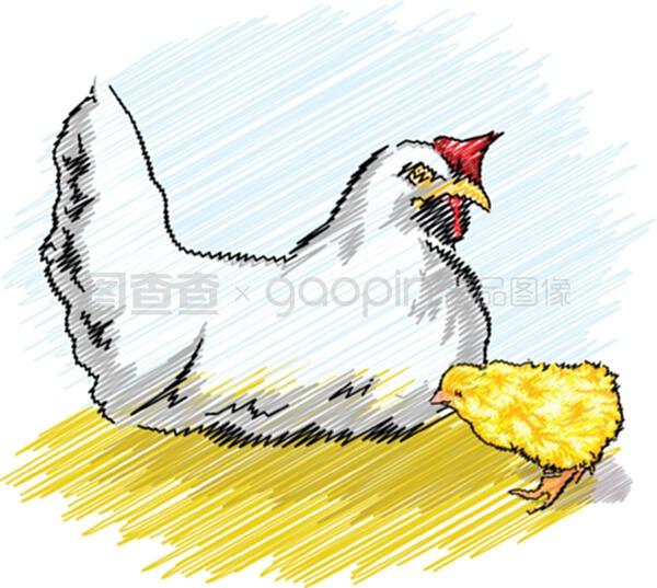 家禽养殖场里的鸡