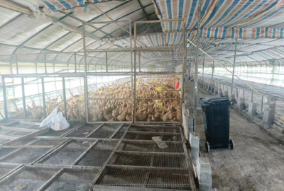 望江漳湖:抓书记项目落实 助力村集体经济