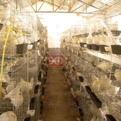 养殖设备图片|养殖设备样板图|养殖设备-祥迪金属制品