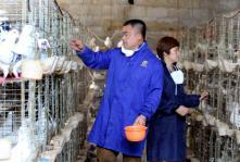 江西万年:家禽养殖业回暖 家禽供应逐步正常_徐声高_ 光明图片