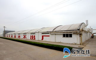 烟台一企业南鱼北养 成国内唯一 梦幻之鱼 苗种供应商