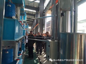 四川省眉山市东坡区白马镇水产养殖大户到眉山伟继水产种业科技基地参观学习