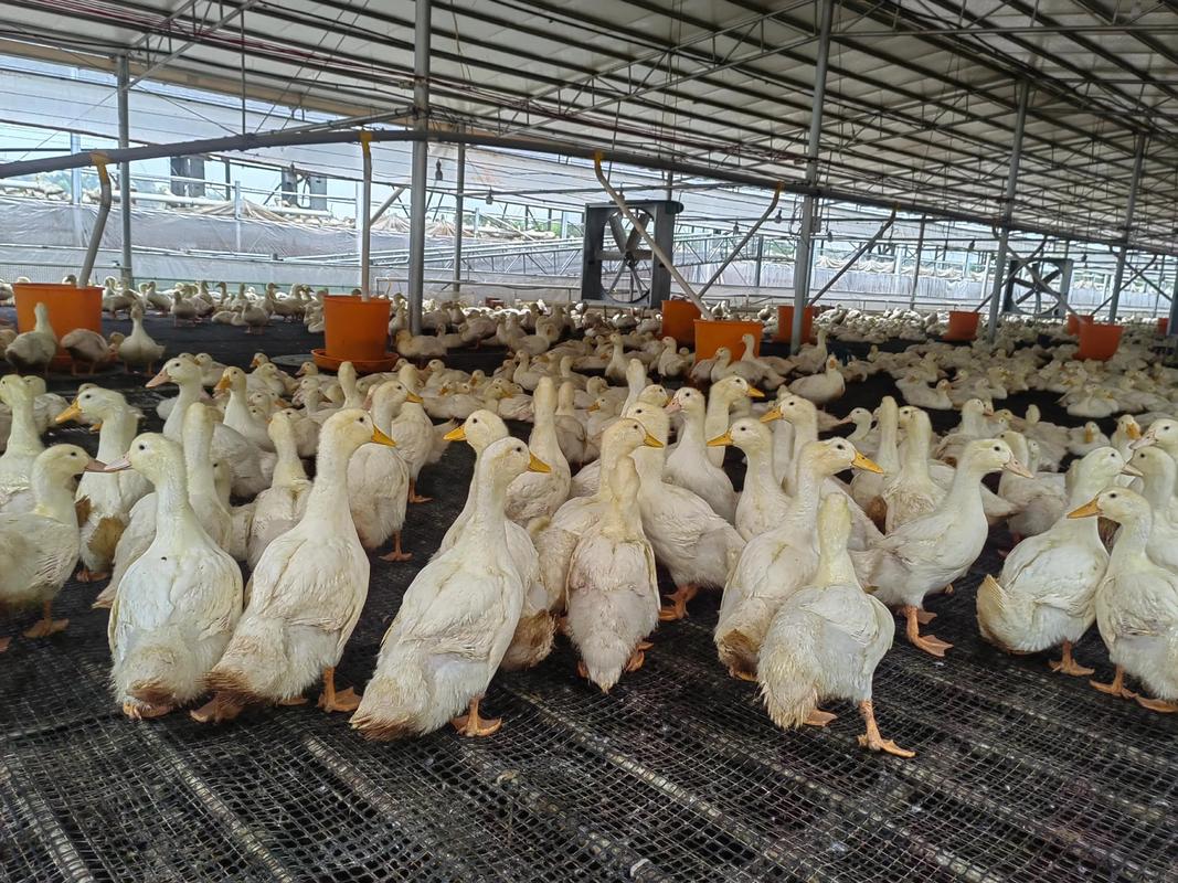 图片 - 更多高清美图