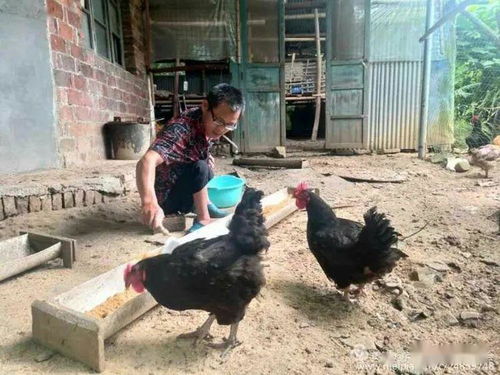 芦溪县贫困残疾人自强脱贫风采掠影