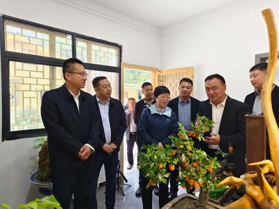 驻局纪检监察组组长、省局党组成员康红深入丰景村调研督导乡村振兴工作