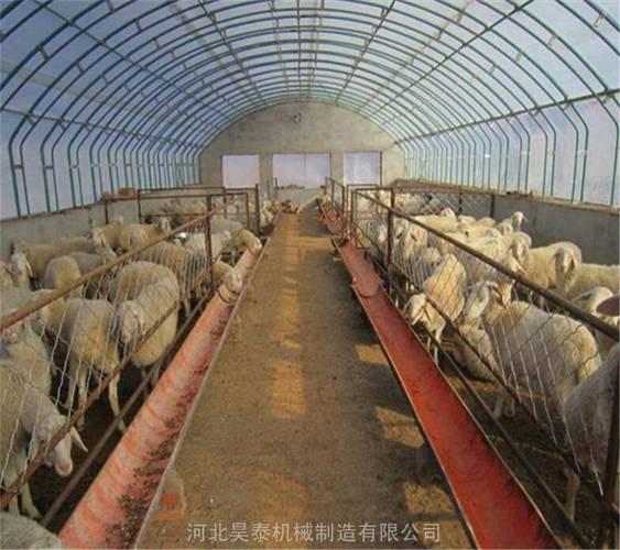 【搭建家禽养殖大棚 薄膜温室养猪大棚 保温大棚】批发_厂家-中贸锐丰