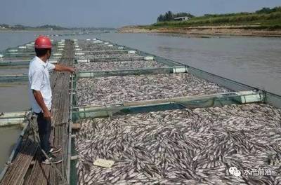 水产养殖业迎来洗牌 这6类养殖户或将面临盈利困境
