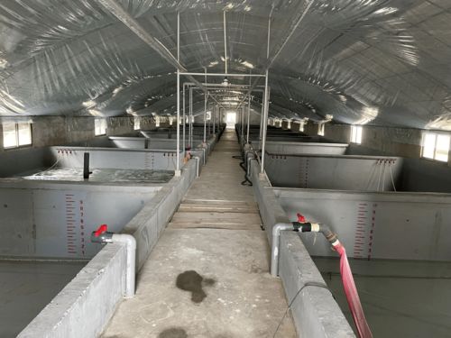 水产养殖污染远超工业，专家呼吁行业转型