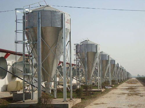 养殖料塔 助力现代农牧与水产养殖高效发展