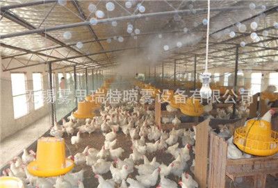 专业家禽养殖场消毒杀菌除臭设备工程安装解决方案