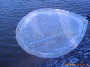 如东县亚康水产养殖场 专业供应大眼幼体，助力水产与家禽养殖发展